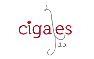 denominación de origen Cigales vino