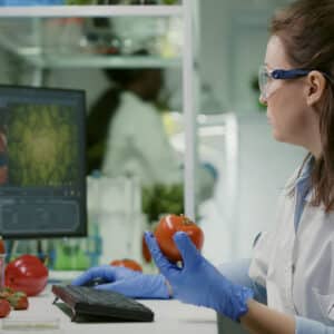 seguridad alimentaria